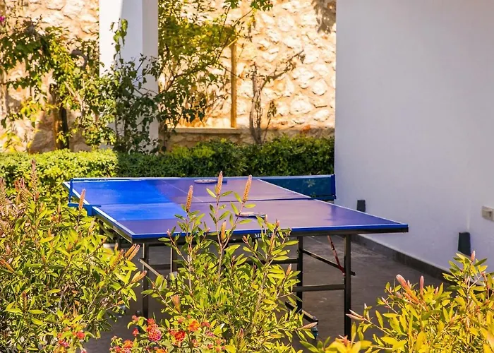 Lapis - Kalkan