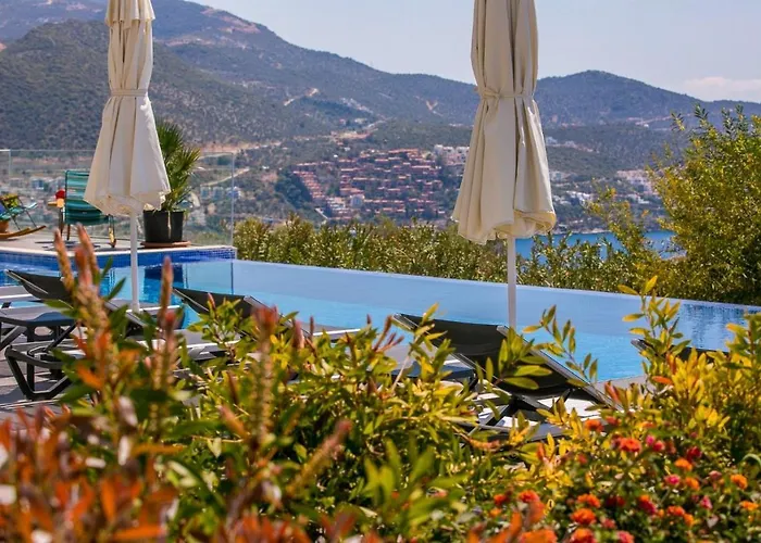 Lapis - Kalkan *