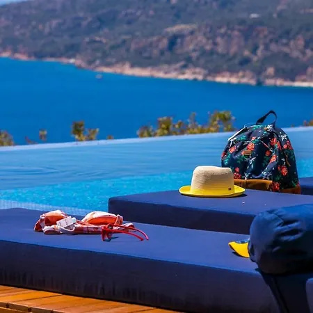 Lapis - Kalkan